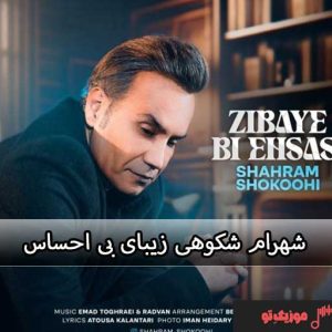 دانلود آهنگ شهرام شکوهی زیبای بی احساس