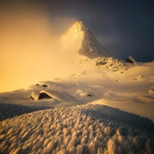 اهنگ دورم می کنی مجبورم میکنی
