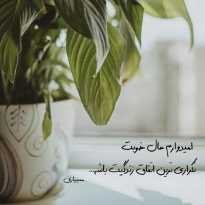 اهنگ یه جوری عاشقم که با تو حاضرم تا خود ماه برم