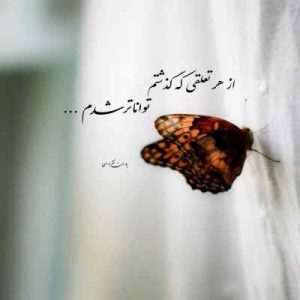 دانلود آهنگ حسین توکلی تو را میخواهم