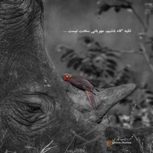 دانلود آهنگ محمدرضا شجریان ما زیاران چشم یاری داشتیم