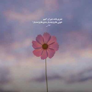 دانلود آهنگ برو پیش اون دیگه میای پیش من حالت میگیره کیفیت اصلی