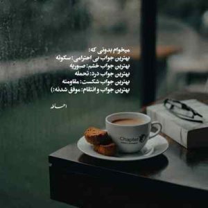 دانلود آهنگ دریا دریا بکشان پای مرا دل تنهای مرا ای عشق