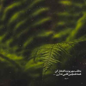 دانلود آهنگ دلمو شکوندی برو حالشو ببر MP3 کیفیت اصلی