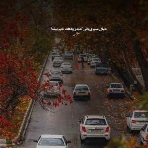 دانلود آهنگ دلبر من تو عشق ناب منی مصطفی ابراهیمی ( اصلی)