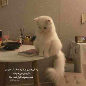 دانلود آهنگ محمدرضا شجریان مرا به هیچ بدادی