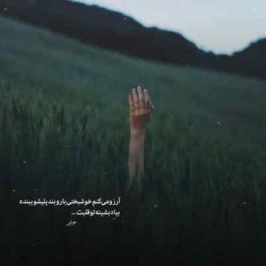 اهنگ عقوبت داره له کردن { اورجینال } اهنگ عقوبت داره له کردن { اورجینال }