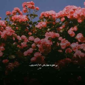 دانلود اهنگ پسر دخترا مگه جردن چی داره از حسین صنعتی