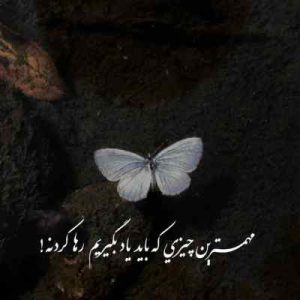دانلود اهنگ تو منه دریا ببین با این که جویبارم فقط ( اورجینال )