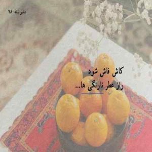 دانلود اهنگ دیدم با غریبه ها بهتره حالت پشیمونم کردم آدم حسابت ( نسخه اصلی) دانلود اهنگ دیدم با غریبه ها بهتره حالت پشیمونم کردم آدم حسابت ( نسخه اصلی)