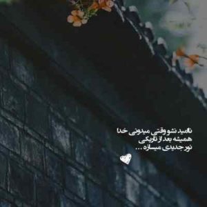دانلود قطعه اهنگ عاشقانه میخوام بگم دوست دارم اما نگو برو بیخیال ( نسخه با کیفیت )