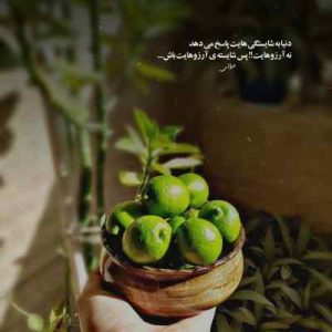 اهنگ مرتضی پاشایی بنام منو ببخش اگه بچگی کردم MP3 { اورجینال } اهنگ مرتضی پاشایی بنام منو ببخش اگه بچگی کردم MP3 { اورجینال }