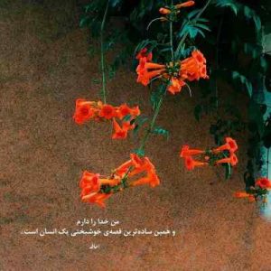 اهنگ وایرال اینستا :  گل ناز نازنینم اگه یک روزت نبینم