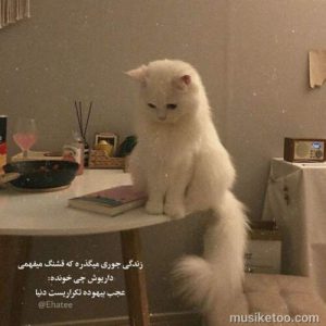 دانلود اهنگ شهرام کاشانی بنام ( مگه من دل ندارم ) کیفیت 320