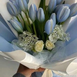 دانلود اهنگ از پشت صحنه میگن امروز تولدمه ( نسخه 320)
