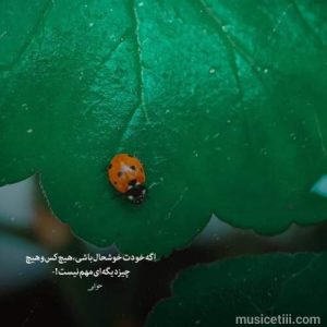 دانلود اهنگ بسه دیگه گله نکن حس میکنم تنهام کیفیت 320 دانلود اهنگ بسه دیگه گله نکن حس میکنم تنهام کیفیت 320