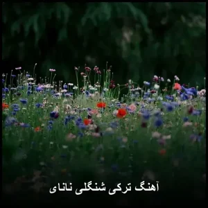 آهنگ ترکی شنگلی نانای | لذت شنیدن موسیقی اصیل آهنگ ترکی شنگلی نانای | لذت شنیدن موسیقی اصیل