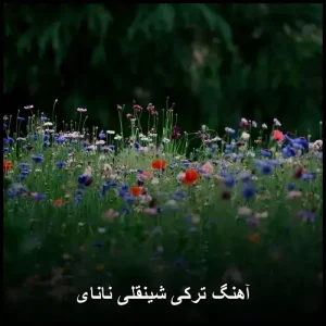 آهنگ ترکی شینقلی نانای | ترکیب عاشقانه موسیقی