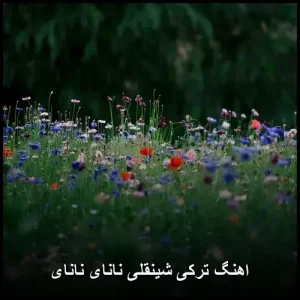 اهنگ ترکی شینقلی نانای نانای | پاپ 2025 با پخش آنلاین اهنگ ترکی شینقلی نانای نانای | پاپ 2025 با پخش آنلاین