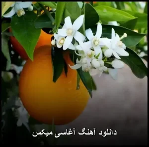 دانلود آهنگ آغاسی میکس | پاپ مدرن با کیفیت بالا دانلود آهنگ آغاسی میکس | پاپ مدرن با کیفیت بالا