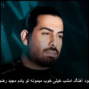 دانلود آهنگ مجید رضوی خوب میمونه تو یادم | با کیفیت عالی و متن ترانه