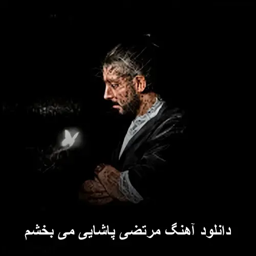 می بخشم - مرتضی پاشایی