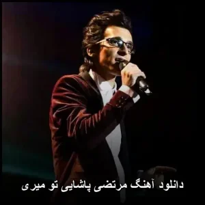 دانلود آهنگ مرتضی پاشایی تو میری | با کیفیت عالی و متن ترانه دانلود آهنگ مرتضی پاشایی تو میری | با کیفیت عالی و متن ترانه