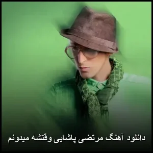 دانلود آهنگ مرتضی پاشایی وقتشه میدونم | متن و کیفیت عالی