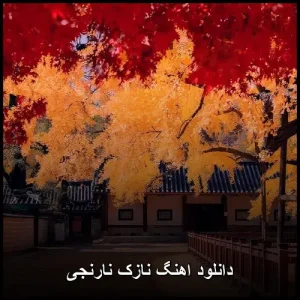 دانلود اهنگ نازک نارنجی | پاپ mp3