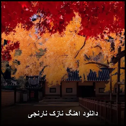 نارنجی - نازک