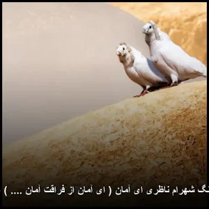 دانلود آهنگ شهرام ناظری ای آمان | تصنیف ماندگار عاشقانه