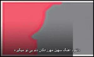 دانلود آهنگ سهیل مهرزادگان دلم بی تو میگیره | پاپ احساسی