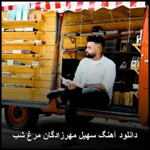 دانلود آهنگ سهیل مهرزادگان مرغ شب | پاپ احساسی دانلود آهنگ سهیل مهرزادگان مرغ شب | پاپ احساسی