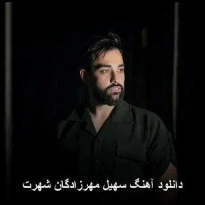 دانلود آهنگ سهیل مهرزادگان شهرت | با کیفیت 320 و متن ترانه