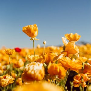 دانلود آهنگ راغب و حمید هیراد خالق عشق ریمیکس دانلود آهنگ راغب و حمید هیراد خالق عشق ریمیکس