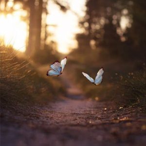آهنگ یور در ان ای ام ار هر آهنگ یور در ان ای ام ار هر