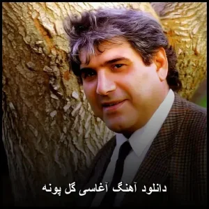 دانلود آهنگ آغاسی گل پونه | با کیفیت 320 و متن ترانه