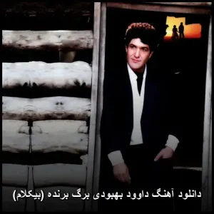 دانلود آهنگ داوود بهبودی برگ برنده (بیکلام) | کیفیت 320 و پخش آنلاین