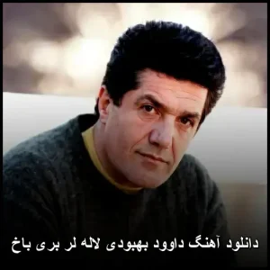دانلود آهنگ داوود بهبودی لاله لر بری باخ | با کیفیت 320 و متن ترانه