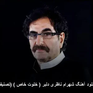 دانلود آهنگ شهرام ناظری دلبر (خلوت خاص) | کیفیت 320 و متن ترانه